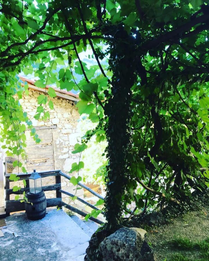 L'Echappee En Vercors Choranche Ngoại thất bức ảnh